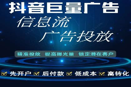 竞价广告与自然搜索的结合策略：XX网站的案例分析